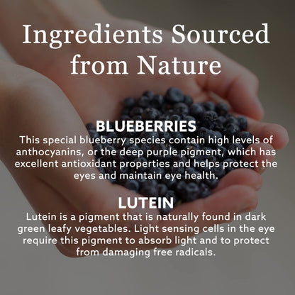 New Nordic Blue Berry Strong 120 Coated Tablets, 60-Day Supply, Vegan Eye Support Supplement with Bilberry & Lutein for Clear Vision & Macular Health - Available at All In One Marketplace Canada
