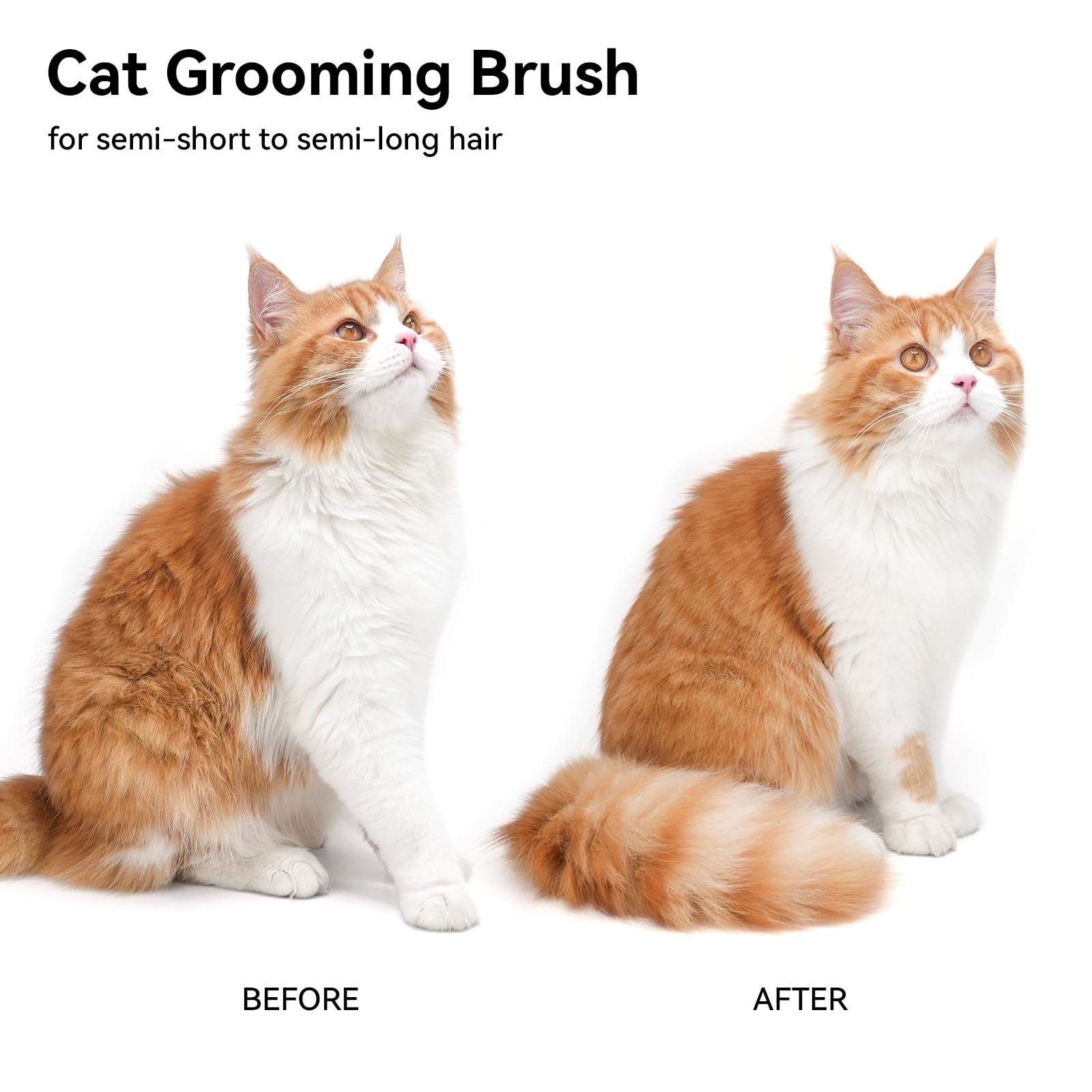 aumuca Cat Brush Dog Brush for Shedding, Cat Brushes for Long or Short Haired Cats, Dog Hair Brush Cat Grooming Brush Cat Comb Cat Deshedding Brush Easily Removes Mats, Tangles, and Loose Fur, White