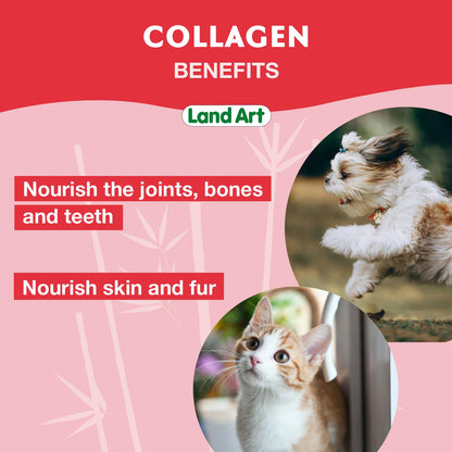 Pet Collagen Supplement - Grass Fed Beef Hydrolyzed - Natural Beef Flavour - Joint Care - Mobility & Health - Gluten, GMO & Sugar Free - for Dog & Cats - Made in Canada - 500ml - Available at All In One Marketplace Canada