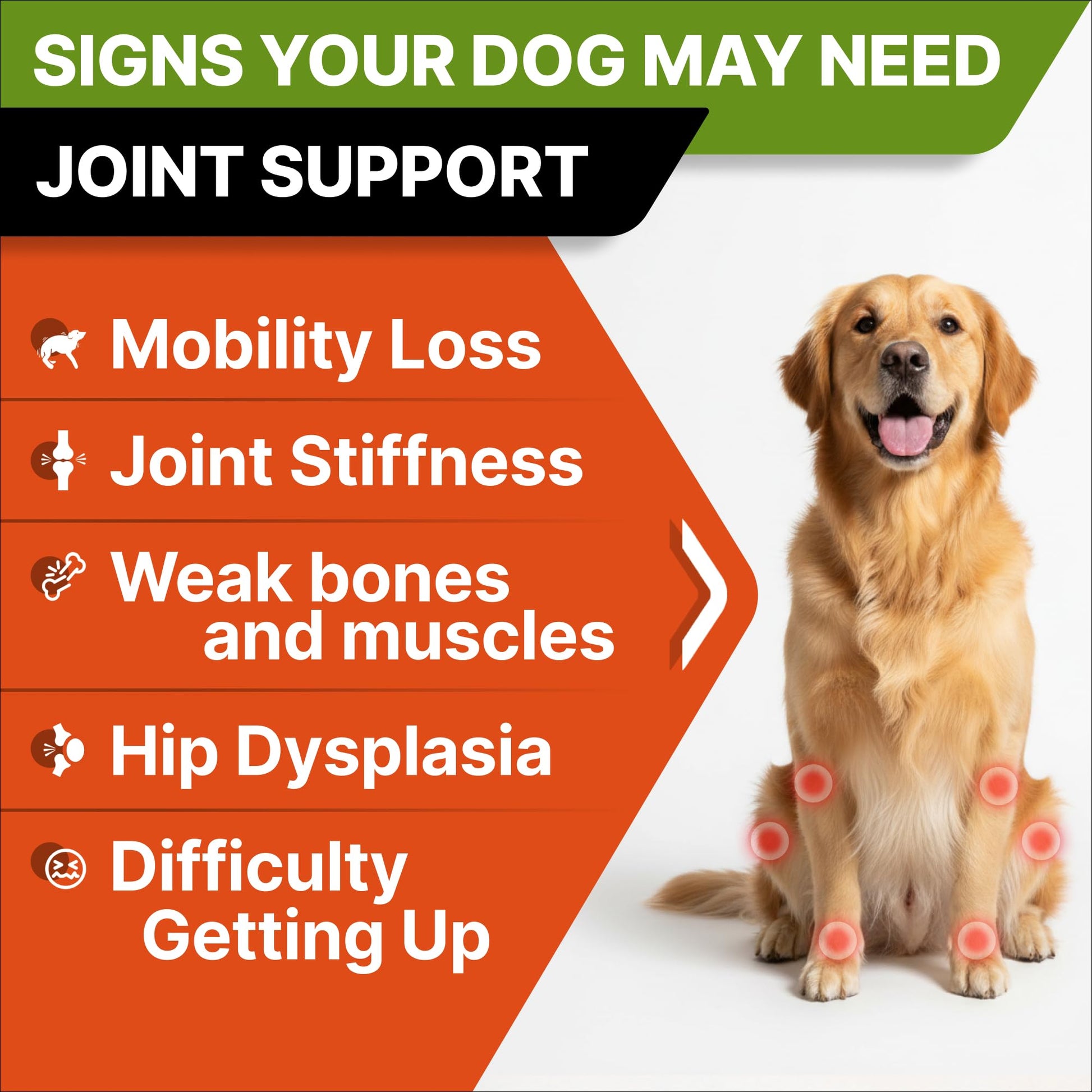 Glucosamine for Dogs w/Chondroitin - Hip & Joint Supplement for Dogs - MSM, Omega to Improve Mobility & Energy - Natural Joint Pain Relief - 120 Chews (Chicken)