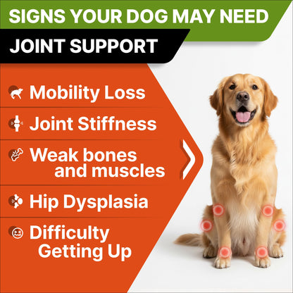 Glucosamine for Dogs w/Chondroitin - Hip & Joint Supplement for Dogs - MSM, Omega to Improve Mobility & Energy - Natural Joint Pain Relief - 120 Chews (Chicken)