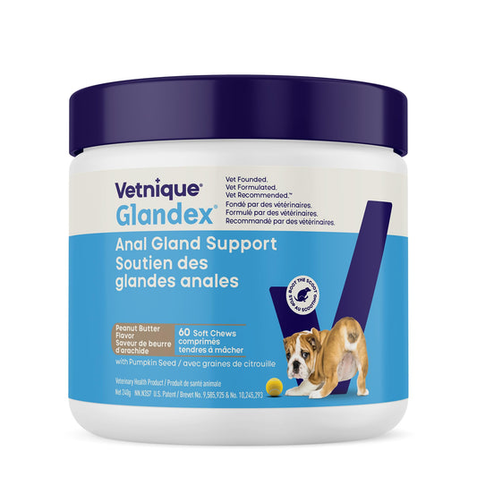 Vetnique Glandex Anal Gland Soft Chews for Dogs, Anal Gland Support, Boot The Scoot Fibre Supplement with Pumpkin, Unique Fiber Blend Probiotics & Digestive Enzymes (Peanut Butter, 60ct Chews)