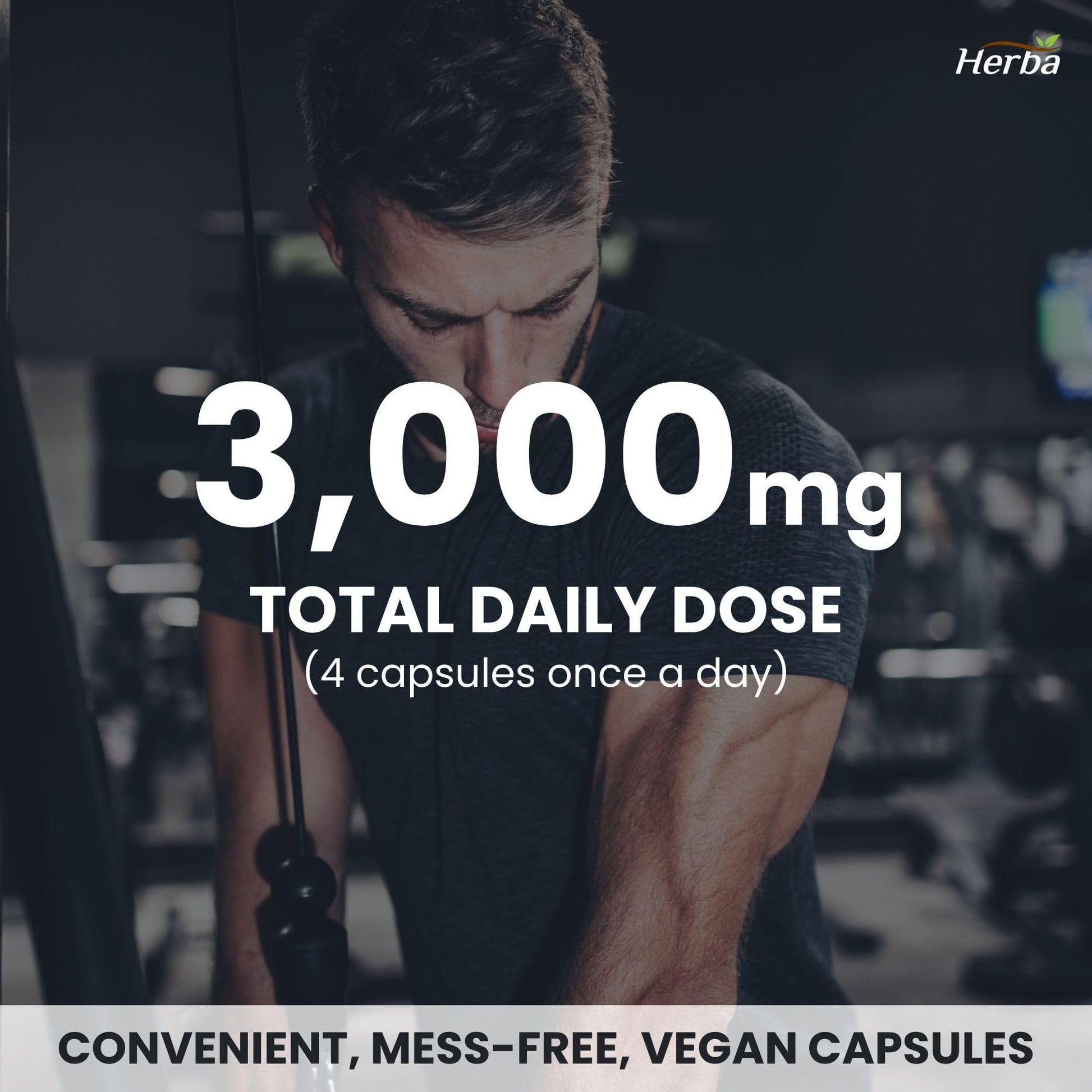 Herba L-Citrulline Capsules 750mg – 180 Capsules | 3,000mg Per Serving | Ultra Pure >98% | L Citrulline Nitric Oxide Supplement | Made & 3rd Party Tested in Canada - Available at All In One Marketplace Canada