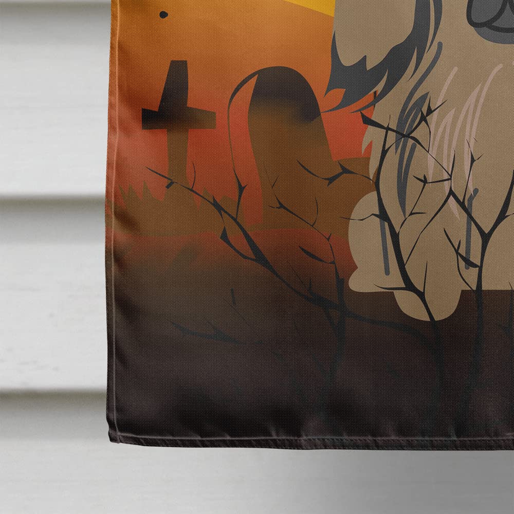 Drapeau de maison en toile Caroline's Treasures BB4368CHF Halloween Pékinois beige, grand format, multicolore