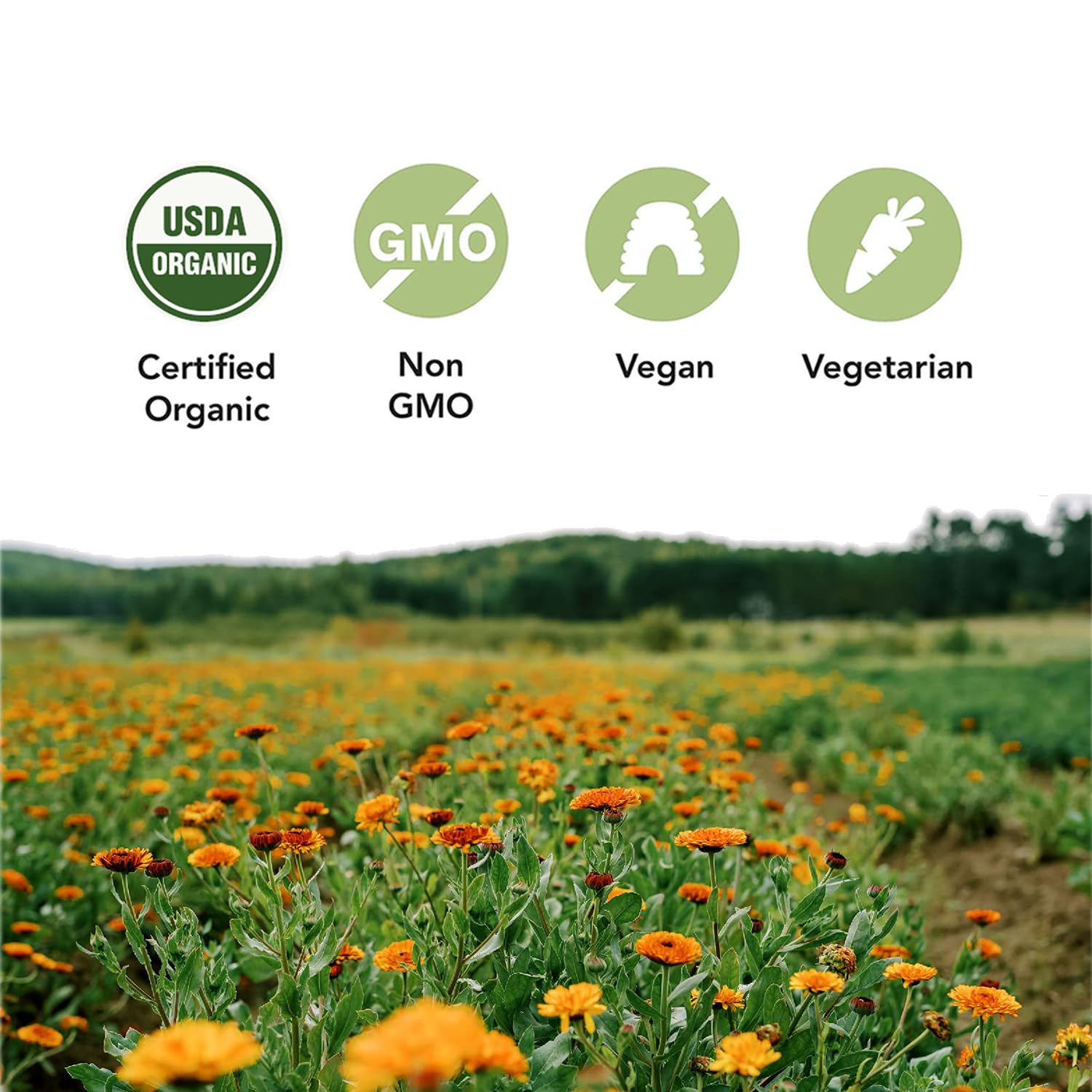 ST FRANCIS HERB FARM Castor Oil (500ml) USDA Certified Organic, Cold Pressed, Hexane-Free, GMO Free, Vegan, Vegetarian, Sealed in Protective Amber Glass (1 Bottle) Hair, Skin, and Nail Care - Available at All In One Marketplace Canada
