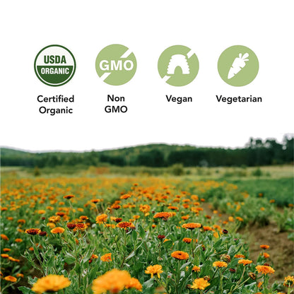 ST FRANCIS HERB FARM Castor Oil (500ml) USDA Certified Organic, Cold Pressed, Hexane-Free, GMO Free, Vegan, Vegetarian, Sealed in Protective Amber Glass (1 Bottle) Hair, Skin, and Nail Care - Available at All In One Marketplace Canada