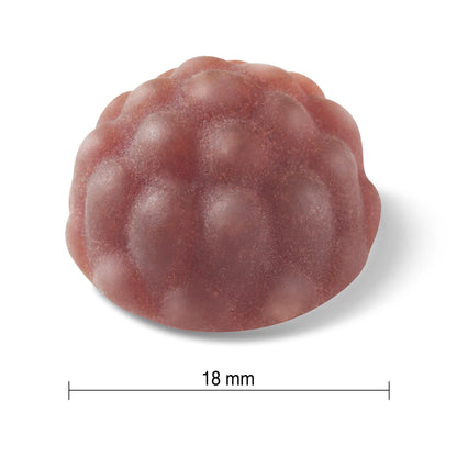 Jamieson Vitamin C + Immune Shield, 60 Gummies, Natural Elderberry Flavour. With Elderberry and Zinc. Supports Immune Health, Relieves Early Cold Symptoms, Family Friendly (3+) - Available at All In One Marketplace Canada