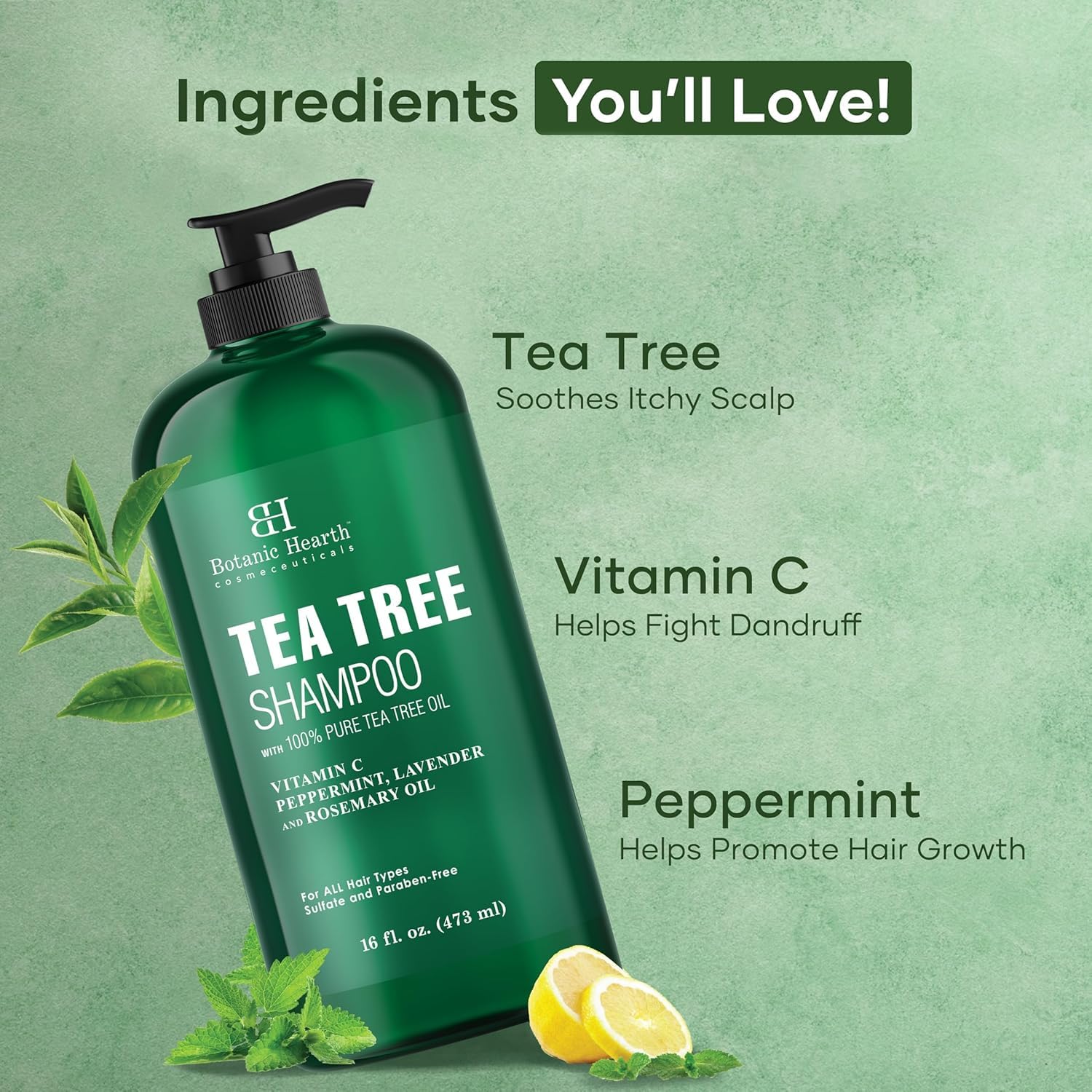 Botanic Hearth Tea Tree Shampoo for Dry & Itchy Scalp, Soothing & Hydrating Cleanser with Natural Tea Tree Oil, Sulfate & Paraben Free, For Men & Women, 16 fl oz - Available at All In One Marketplace Canada