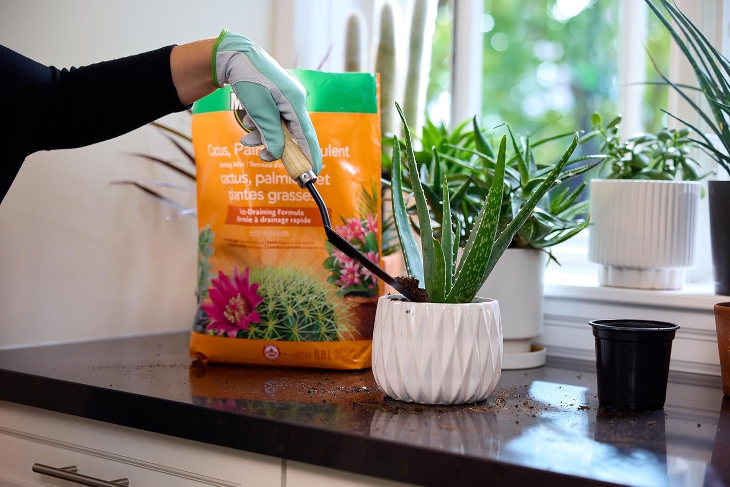 Miracle-Gro Cactus Palm & Succulant Mix 8.8L, 2-Pack | Fast-Draining Soil for Cacti, Palms & Succulents | Feeds 6 Months - Available at All In One Marketplace Canada