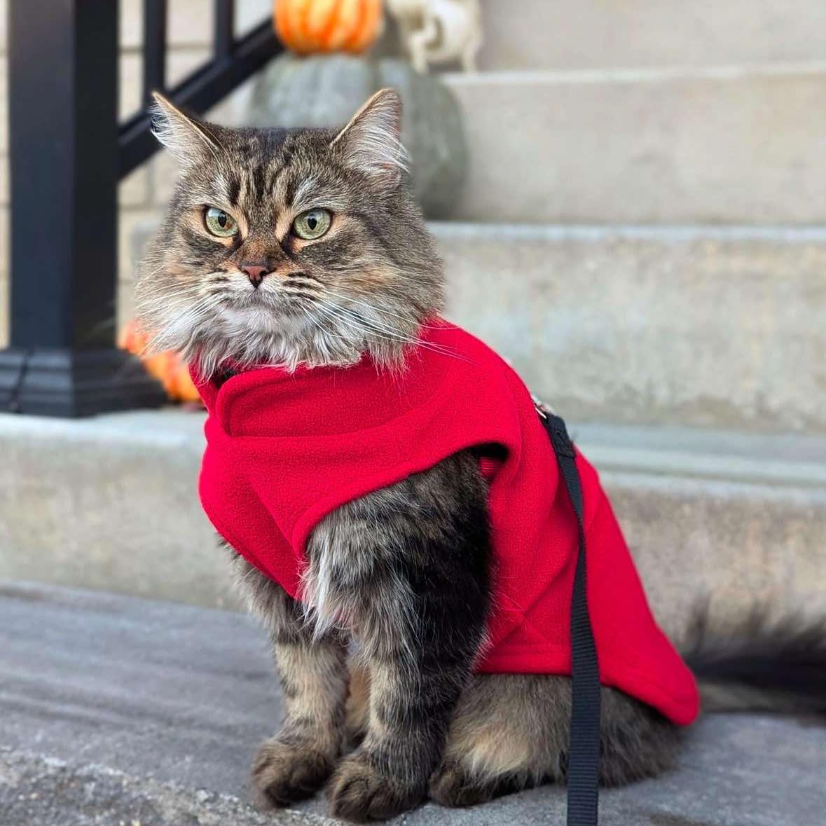 JACKO & CO Dog Fleece Vest Sweater with Leash Ring - Red L (Dogs 10-16 lbs) 🍁 All In One Marketplace Canada