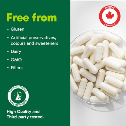 Organika Canadian-Made Liposomal Vitamin C 1000mg Daily- High Absorption for Superior Bioavailability, Immunity- 60vcaps - Available at All In One Marketplace Canada