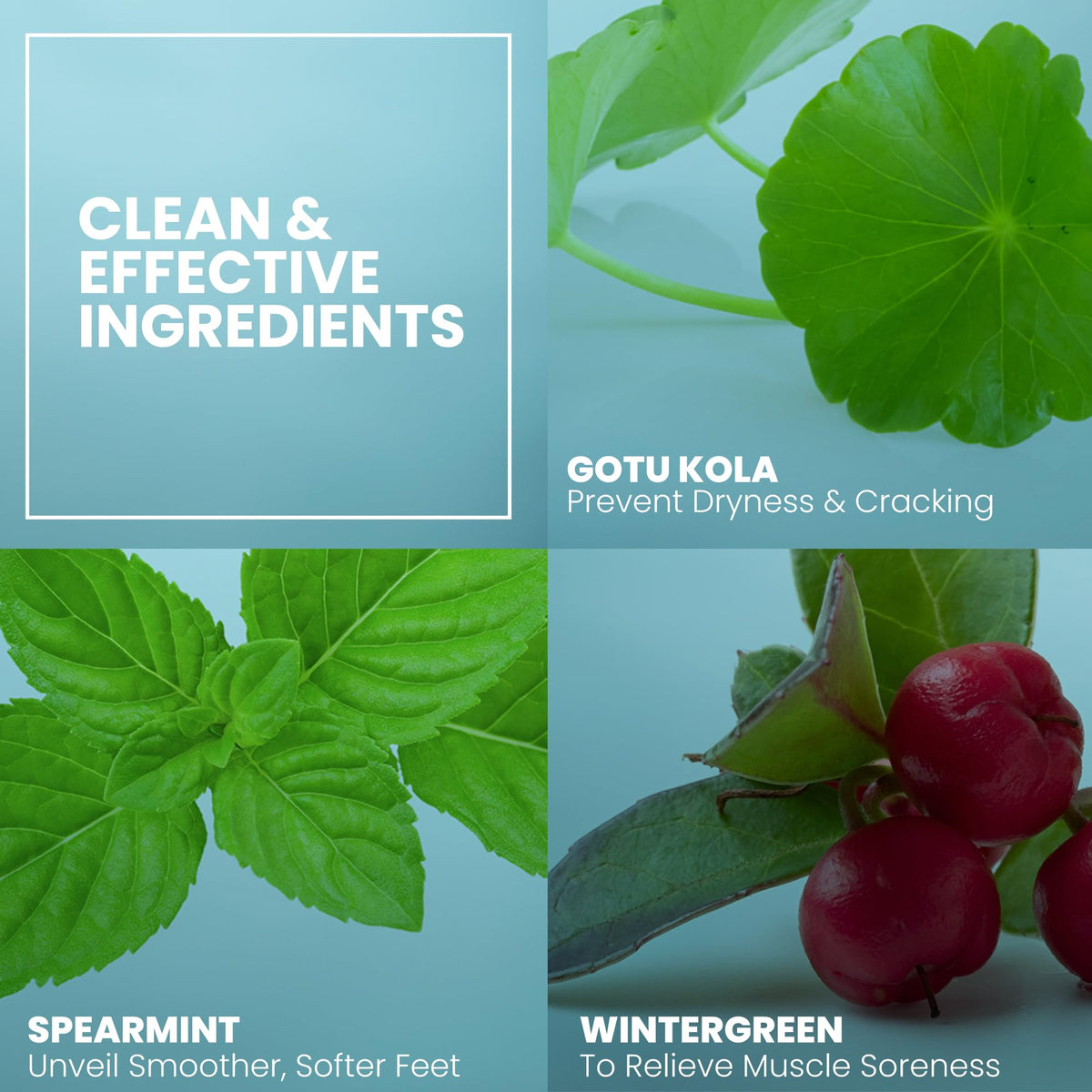 Eva Naturals Tea Tree Foot Cream with Aloe, Sunflower & Peppermint, 120 ml 🍁 All In One Marketplace Canada