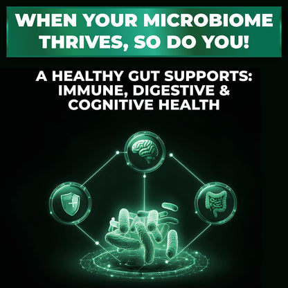 Probiotics Women & Men - 60 Billion CFU Probiotic + Prebiotics | Delayed Release Capsules Survive Stomach Acid for Max Potency | Digestive & Immune Support | Bloating & Gas Relief | Shelf Stable Lactobacillus Strains | Canadian Made, 3rd Party Tested - Available at All In One Marketplace Canada