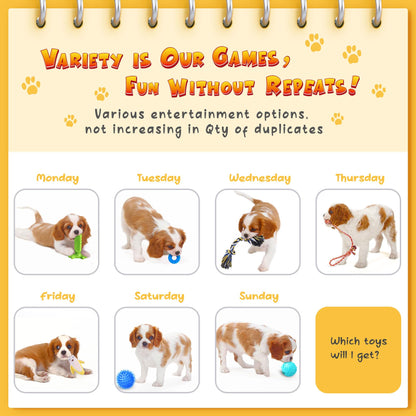 KIPRITII Dog Toys for Puppy Teething - 23 Pack Puppy Teething Toys for Boredom, Pet Dog Toothbrush Dog Toys with Rope Toys, Dog Treat Ball and More Squeaky Toy for Puppies and Small Dogs - Available at All In One Marketplace Canada