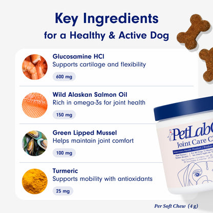Petlab Co. Joint Care Chews, High Levels of Glucosamine for Dogs, Green Lipped Mussels, Omega 3 and Turmeric, Dog Hip and Joint Supplement to Actively Support Mobility, Packaging May Vary