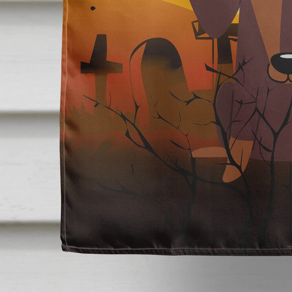 Drapeau de maison Caroline's Treasures BB4397CHF motif teckel d'Halloween en chocolat, grand format, multicolore
