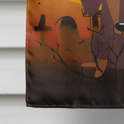 Drapeau de maison Caroline's Treasures BB4397CHF motif teckel d'Halloween en chocolat, grand format, multicolore