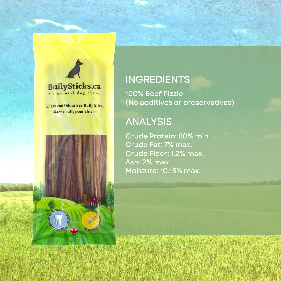ODOURFREE 12" Standard Bully Sticks for Dogs (10 Pack) Dental Chew - Rawhide Free - Supports Dental Hygiene - Single Beef Ingredient - Consistent Size - Canadian Company