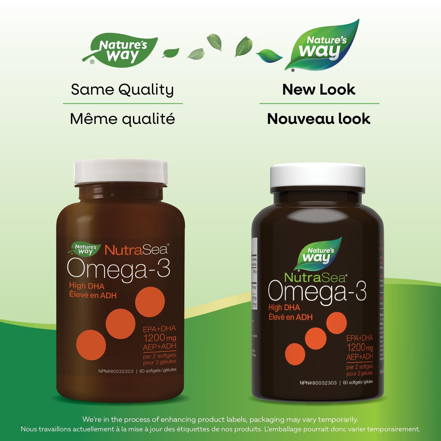 Nature's Way NutraSea DHA 2X Concentrated Omega 3 Softgels Supplement – Fresh Mint Flavour – Brain & Eye Support for Adults and Kids Ages 14+ – 500mg DHA, 60 Softgels Nature's Way