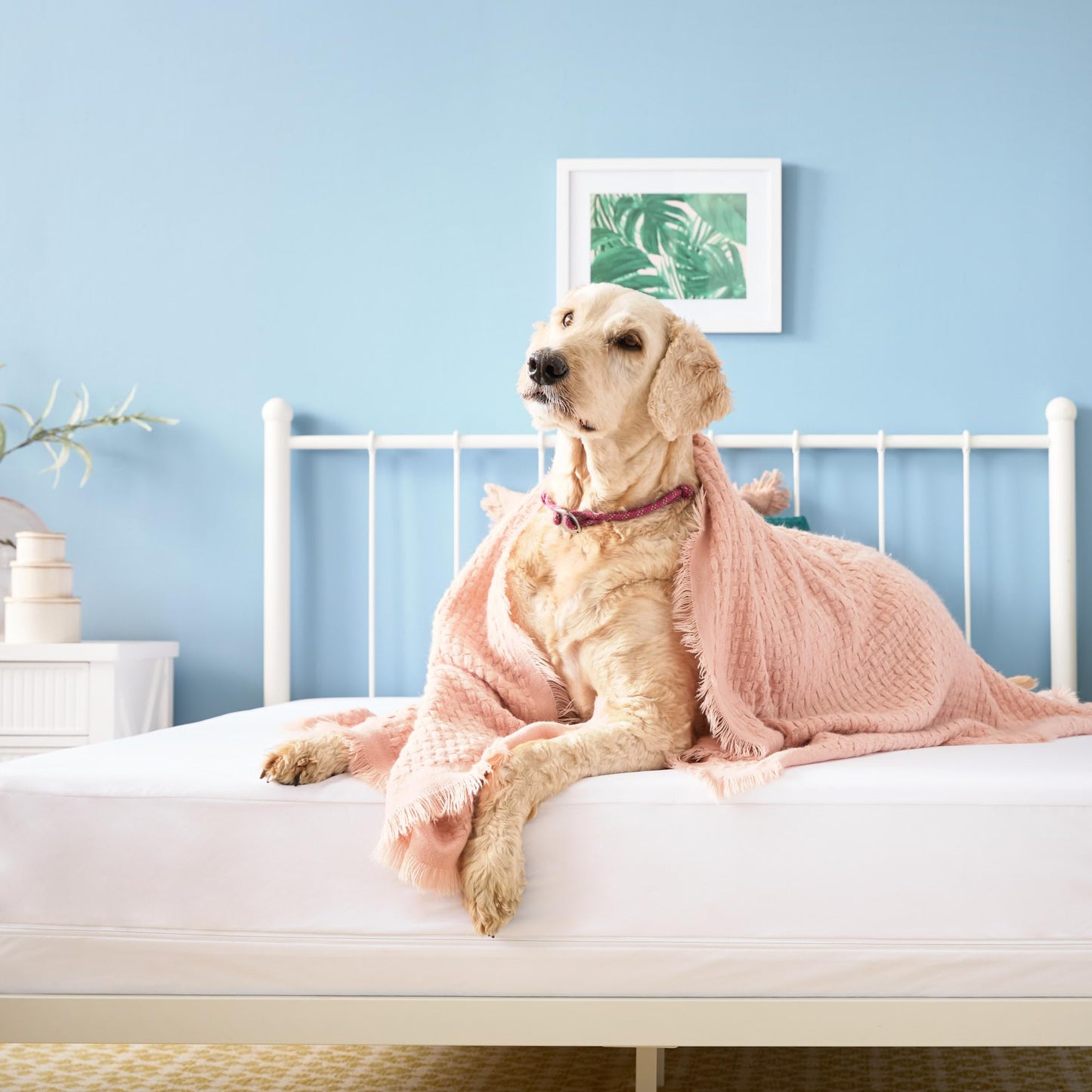 LINENSPA Zippered Encasement Waterproof, Dust Mite Proof, Bed Bug Proof, Hypoallergenic Breathable Mattress Protector - Queen Size White 🍁 All In One Marketplace Canada