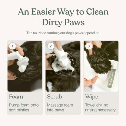 Dandylion Dog Paw Cleaner, Clean Paws, Dog Paw Washer, No Rinse Foam Cleaner for Dogs, Fragrance Free pH Balanced Foaming Washer with Silicone Brush, Pet Cleaning Supplies, 5 fl oz