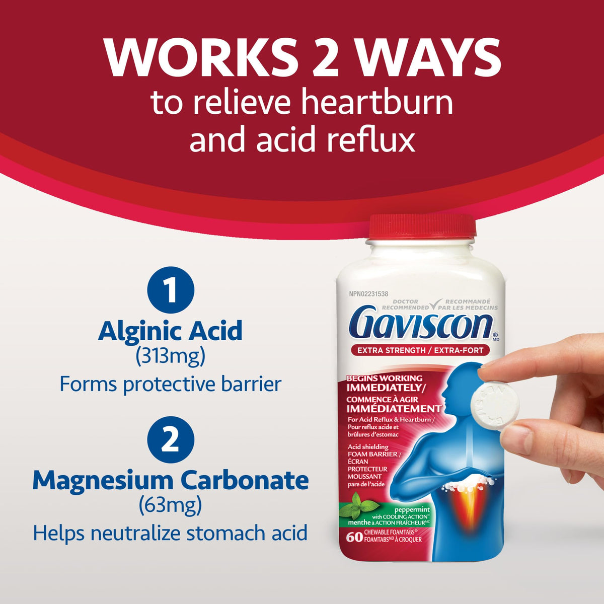 Gaviscon Extra Strength Tablets - 60 Count - Chewable Foaming Antacid Tablets for Day and Night Heartburn Relief, Acid Reflux and GERD Relief, Cooling & Refreshing Peppermint - Free of Aluminum, Lactose and Gluten 🍁 All In One Marketplace Canada