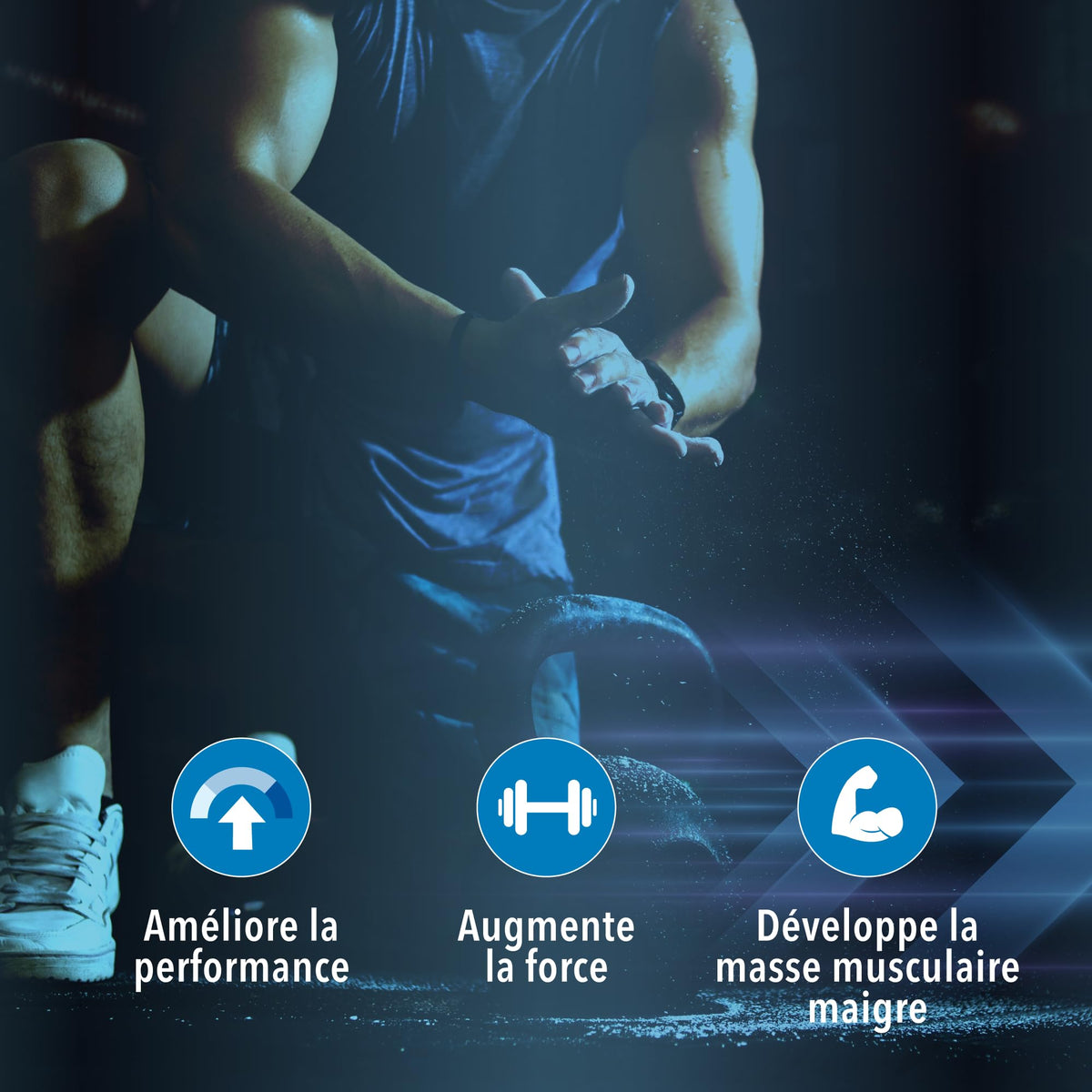 Progressive Creatine Monohydrate, Informed Sport Certified, Proudly Canadian Made, Improves Performance, Increases Strength, Builds Lean Muscle, Easy to dissolve, Gluten Free, No artificial flavours, Colours or Preservatives. 510 g - 100 Servings, Unflavo