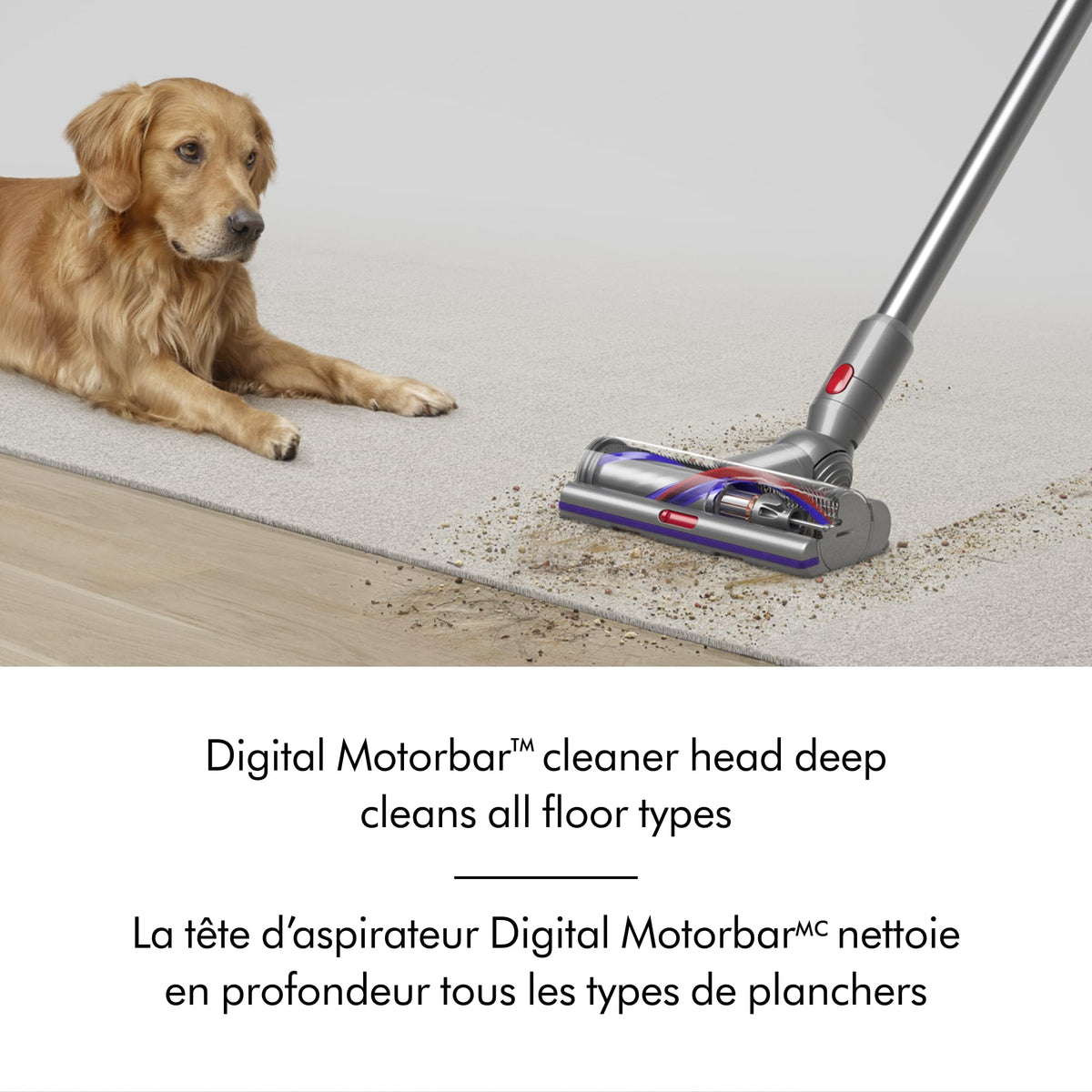 Dyson V15 Detect™ Cordless Vacuum