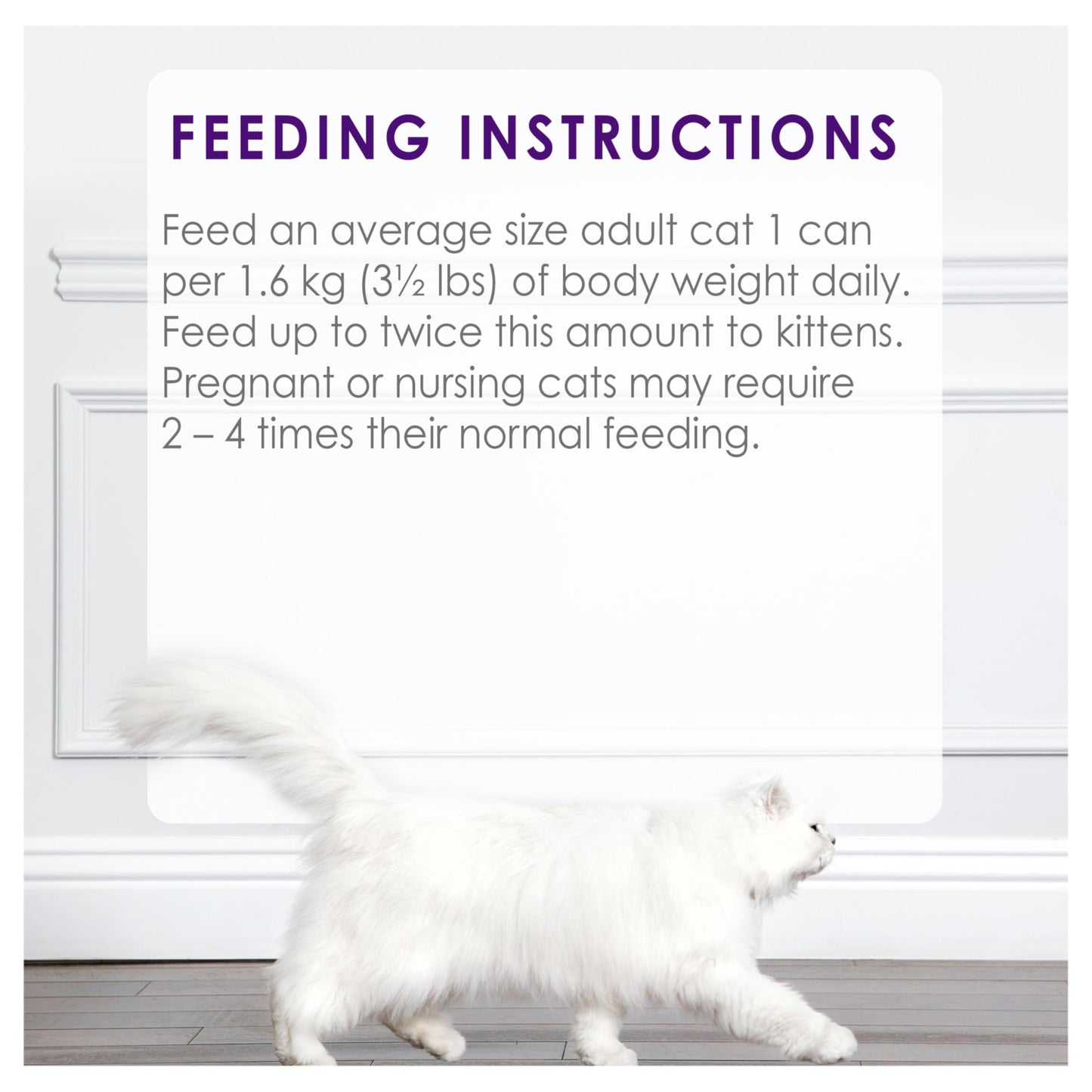 Fancy Feast Chunky Wet Cat Food, Chicken Feast - 85 g Can (24 Pack) 🍁 All In One Marketplace Canada