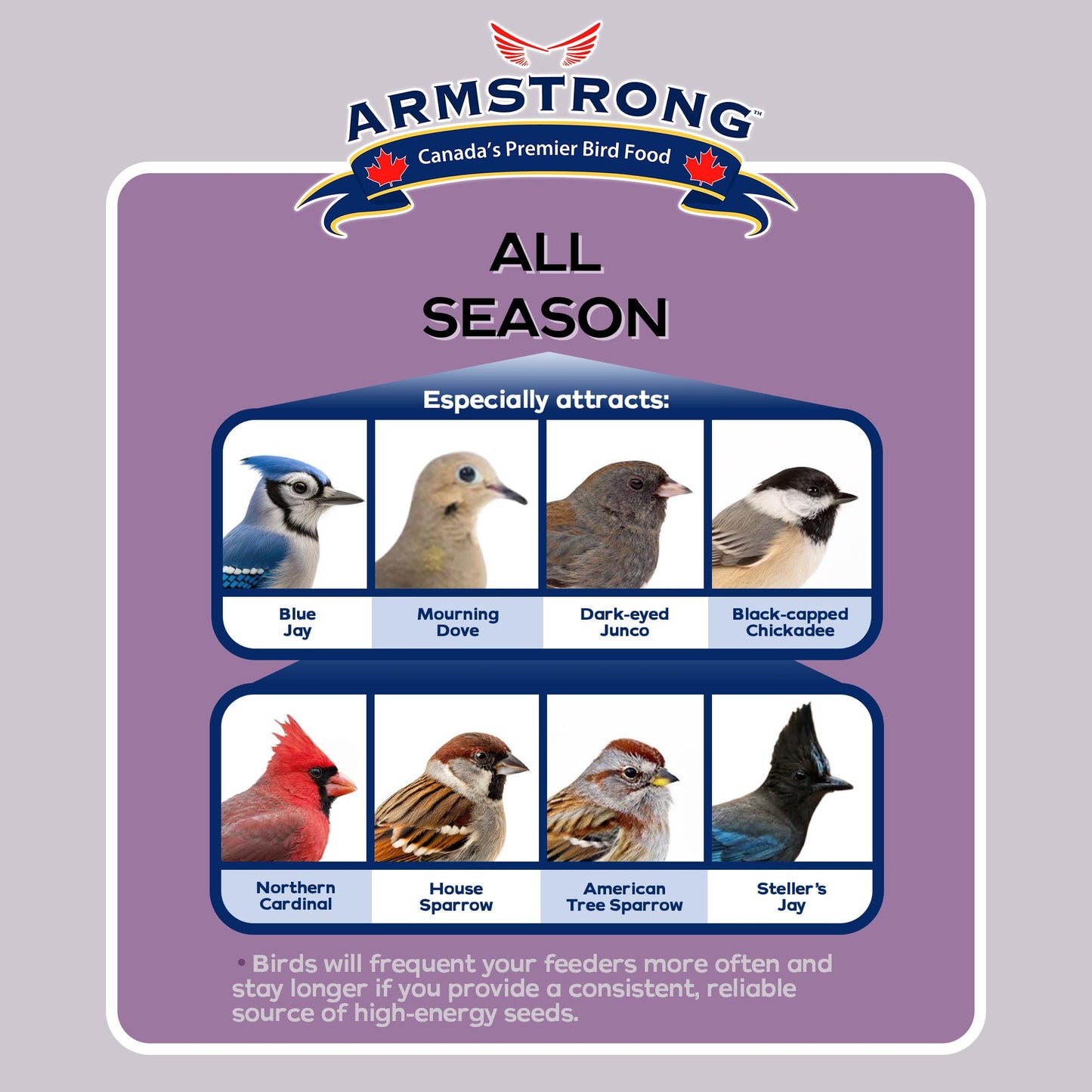 Armstrong All Season Blend, Premium Wild Bird Seed Mix, 4KG (8.8LB) Bag - Available at All In One Marketplace Canada