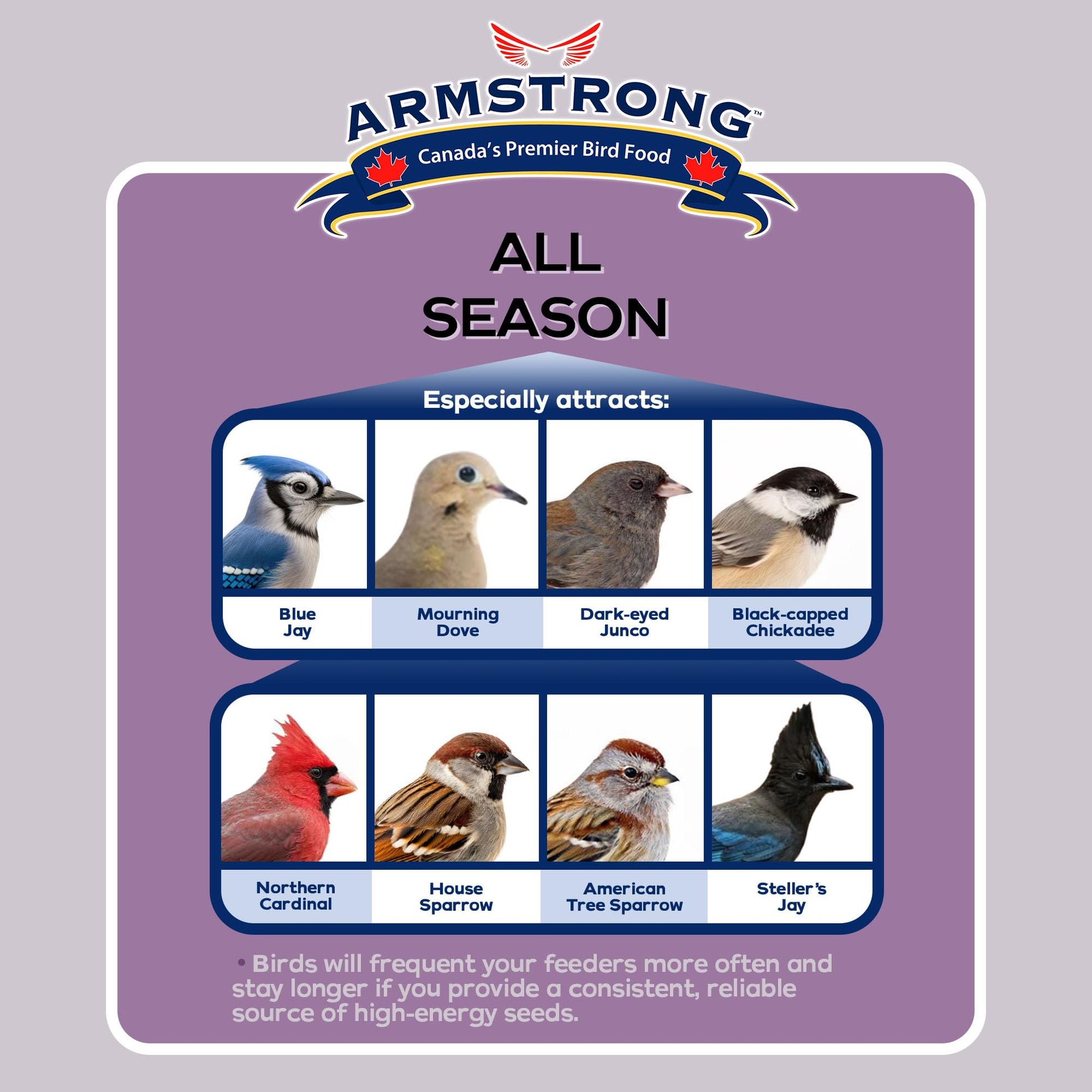 Armstrong All Season Blend, Premium Wild Bird Seed Mix, 4KG (8.8LB) Bag - Available at All In One Marketplace Canada