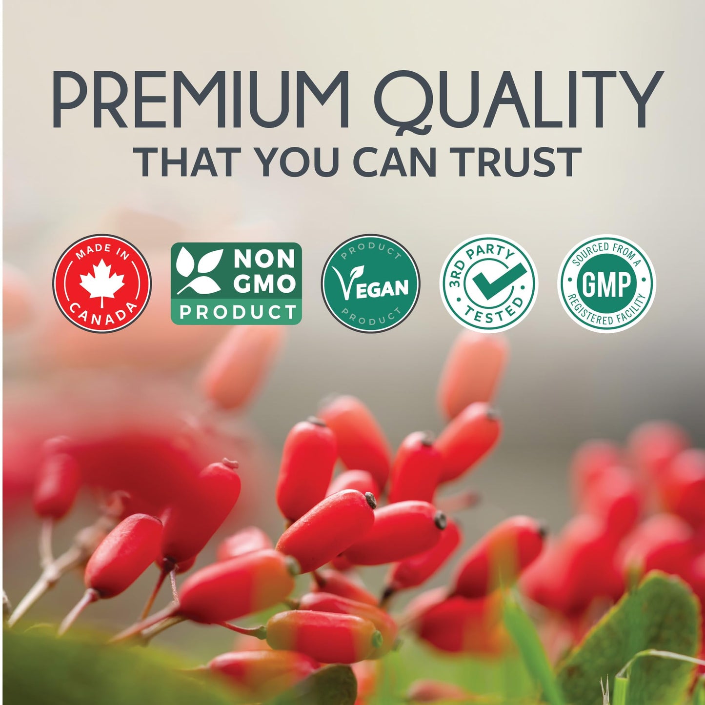 Berberine 1000mg | Healthy Cholesterol, Glucose & Lipid Metabolism & Cardiovascular Health Support | High Potency Berberine Supplement with Bitter Melon & Banaba Extract | Made in Canada | 90 Ct - Available at All In One Marketplace Canada