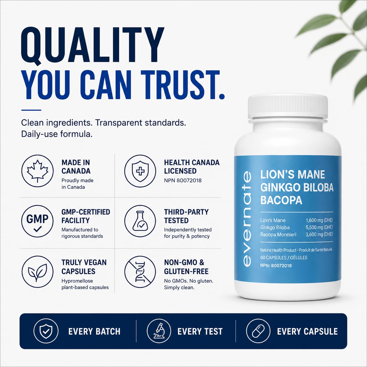 ALL-IN-ONE Lion's Mane 1,600 mg with Ginkgo Biloba 5,500 mg & Bacopa Monnieri 3,600 mg (Per Serving: 2 Capsules) – 3-in-1 Memory, Focus & Cognitive Support – 60 Vegan Capsules – Made in Canada - Available at All In One Marketplace Canada
