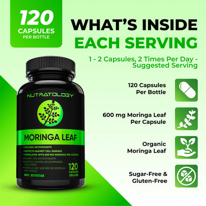 Nutratology® Organic Moringa Leaf Capsules | 1200MG Per Serving | Canadian-Made | Provides Powerful Antioxidants - Protects Against Cell Damage, Supports Liver Detox & Gut Health - 120 Caps - Available at All In One Marketplace Canada