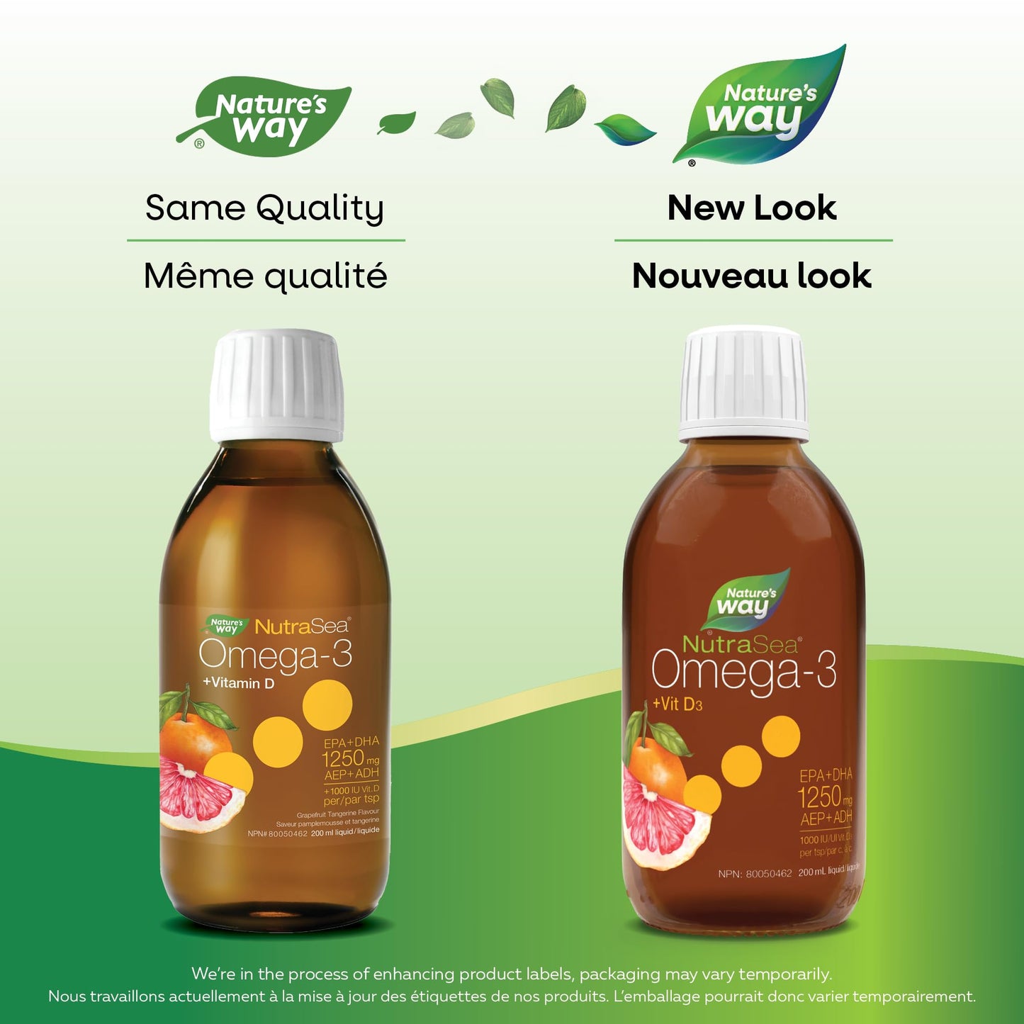Nature's Way NutraSea Omega 3 + Vitamin D Fish Oil Liquid Supplement – Grapefruit Tangerine Flavour – 1250mg EPA & DHA + 1000IU D3, 200 mL Nature's Way