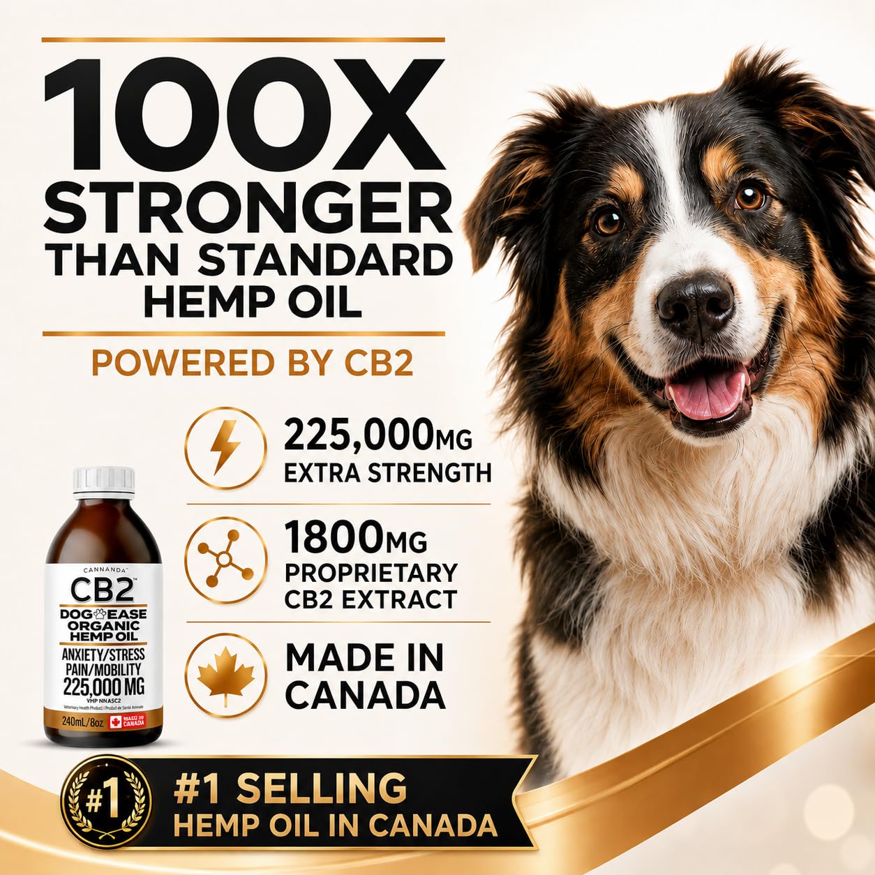 CB2 Hemp Oil for Dogs [225,000mg / 240mL / Organic] - Natural Hip and Joint Supplement for Dogs - Calming Anxiety Relief - Extra Strength for Pain, Inflammation, Arthritis, Stress, Aggression