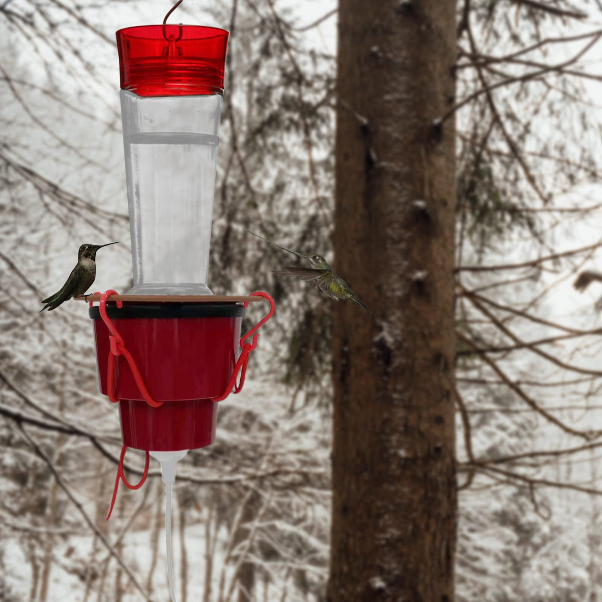 Hummingbird Feeder Heater for Winter, Heated Hummingbird Feeders for Outdoors, Hummingbird Feeder Warmer, Heated Bird Feeder Attaches to The Bottom of an Existing Feeder (Feeder Not Included) 🍁 All In One Marketplace Canada