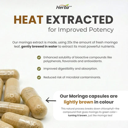 Herba 10,000MG Organic Moringa Capsules – 180 Count | Ultra Potent - 20:1 Extract | Made in Canada | Pure Moringa Capsules using Organic Moringa Powder - Available at All In One Marketplace Canada