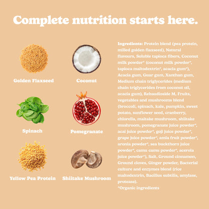 Good Protein Vegan Plant-based Protein Powder 100% Natural, Non-GMO, Dairy-free, Gluten-free, Soy-free, No Added Sugar and Nothing Artificial. Chai Latte All-in-One Shake 440 grams