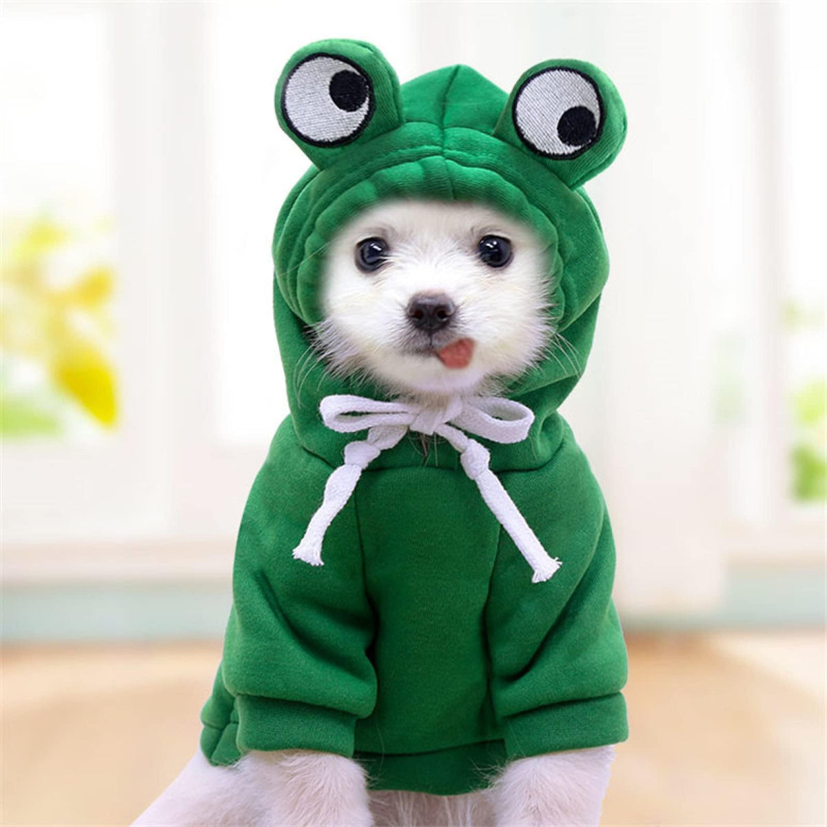 Warm Dog Winter Clothes Cute Fruit Dog Coat Hoodies Fleece Pet Dogs Costume Jacket for French Bulldog Chihuahua Ropa para Perro(Green,S) 🍁 All In One Marketplace Canada