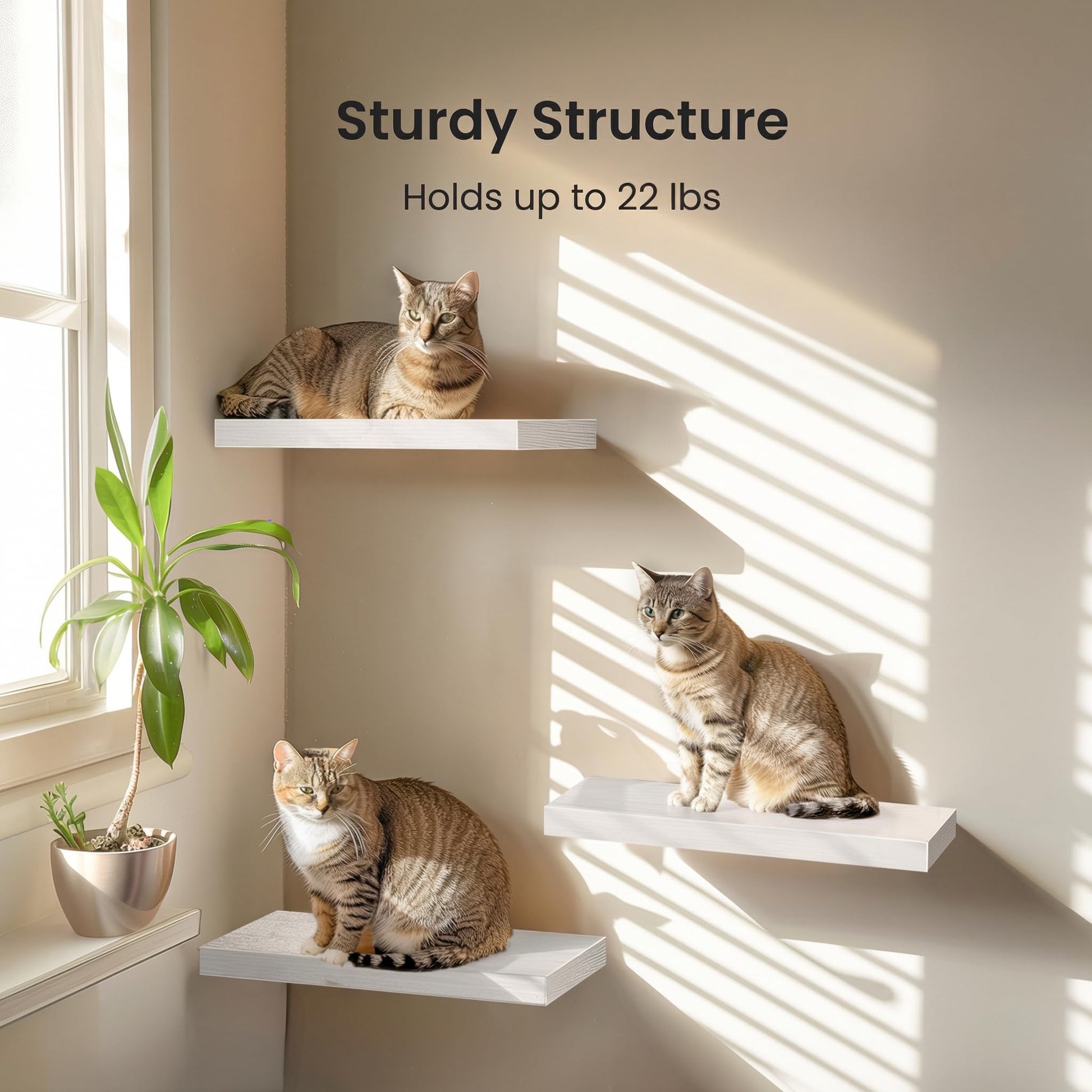AMADA HOMEFURNISHING Floating Shelves, Wall Shelves for Bathroom/Living Room/Bedroom/Kitchen Decor, White Shelves with Invisible Brackets Set of 3 - AMFS08 - Available at All In One Marketplace Canada