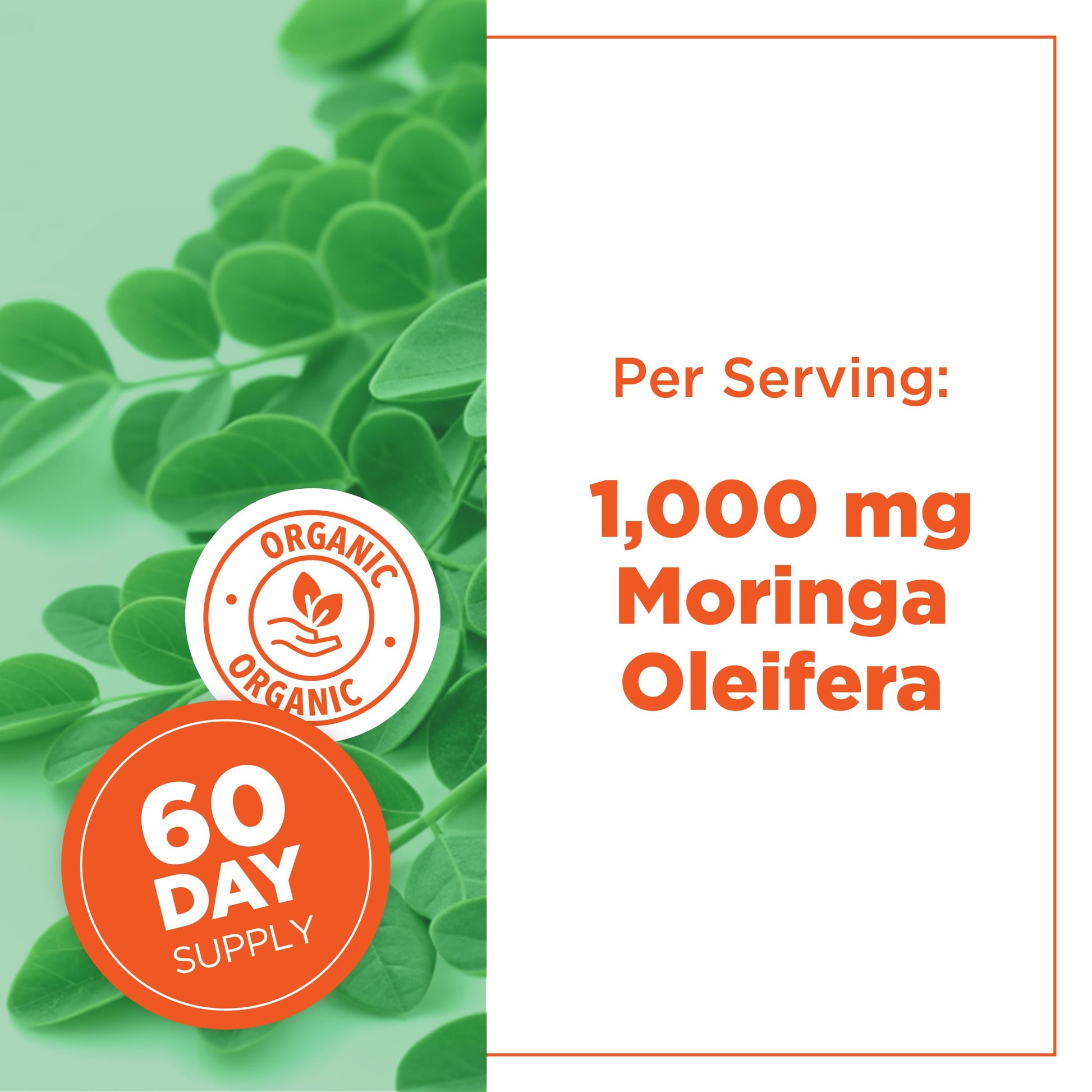 PlantVital Organic Moringa Leaf Capsules - Made in Canada - 1000mg High Potency (500mg per cap) Moringa Pure Capsules for Antioxidant, and Eye Health - Vegan, Non-GMO, Gluten Free (120 Count, 60 Days) - Available at All In One Marketplace Canada