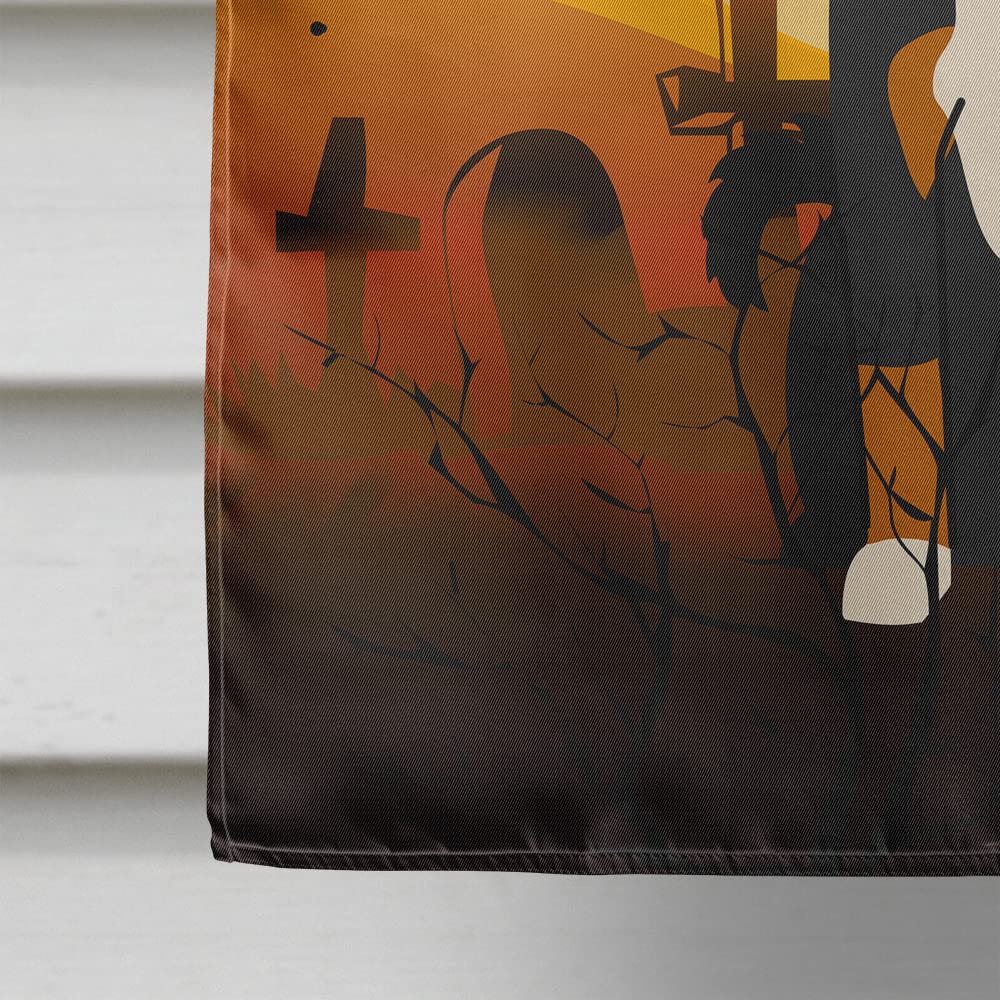 Drapeau de maison en toile Caroline's Treasures BB4309CHF Halloween Appenzeller, grand format, multicolore
