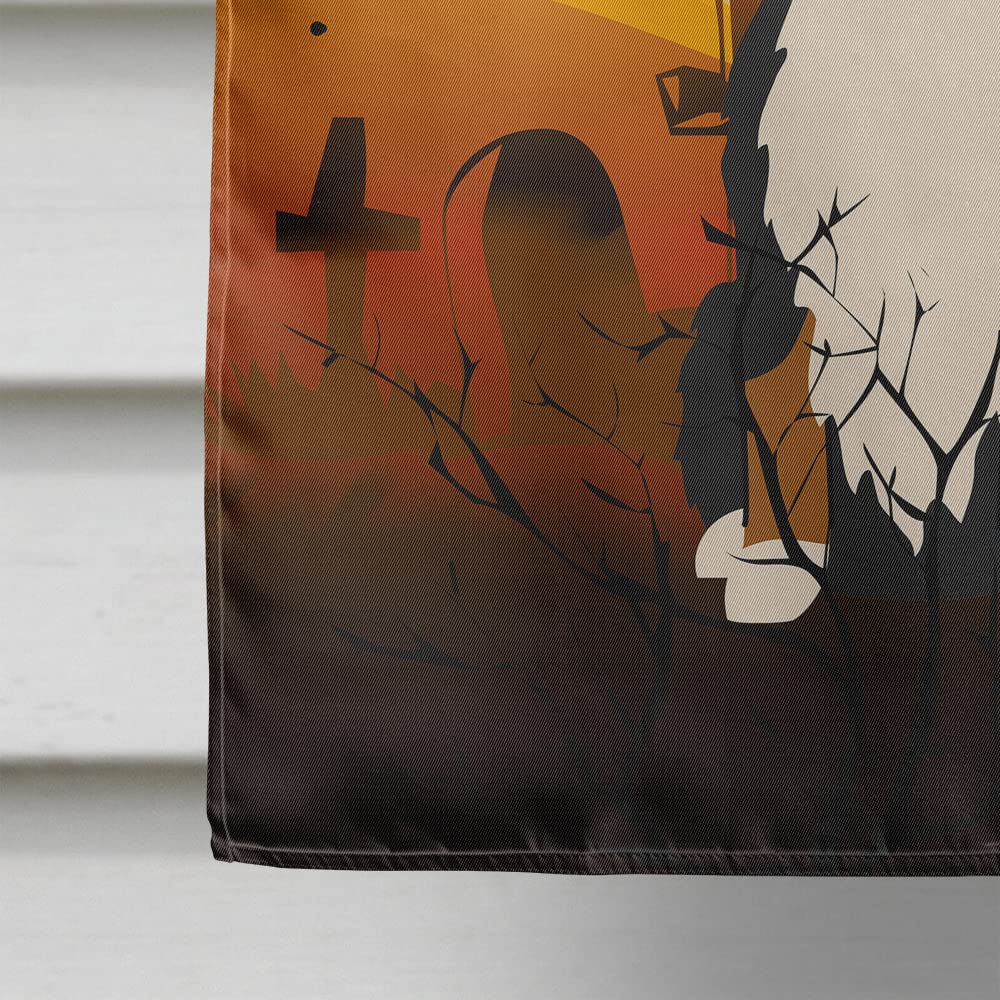 Drapeau de maison en toile Caroline's Treasures BB4302CHF avec bouvier bernois pour Halloween, grand format, multicolore