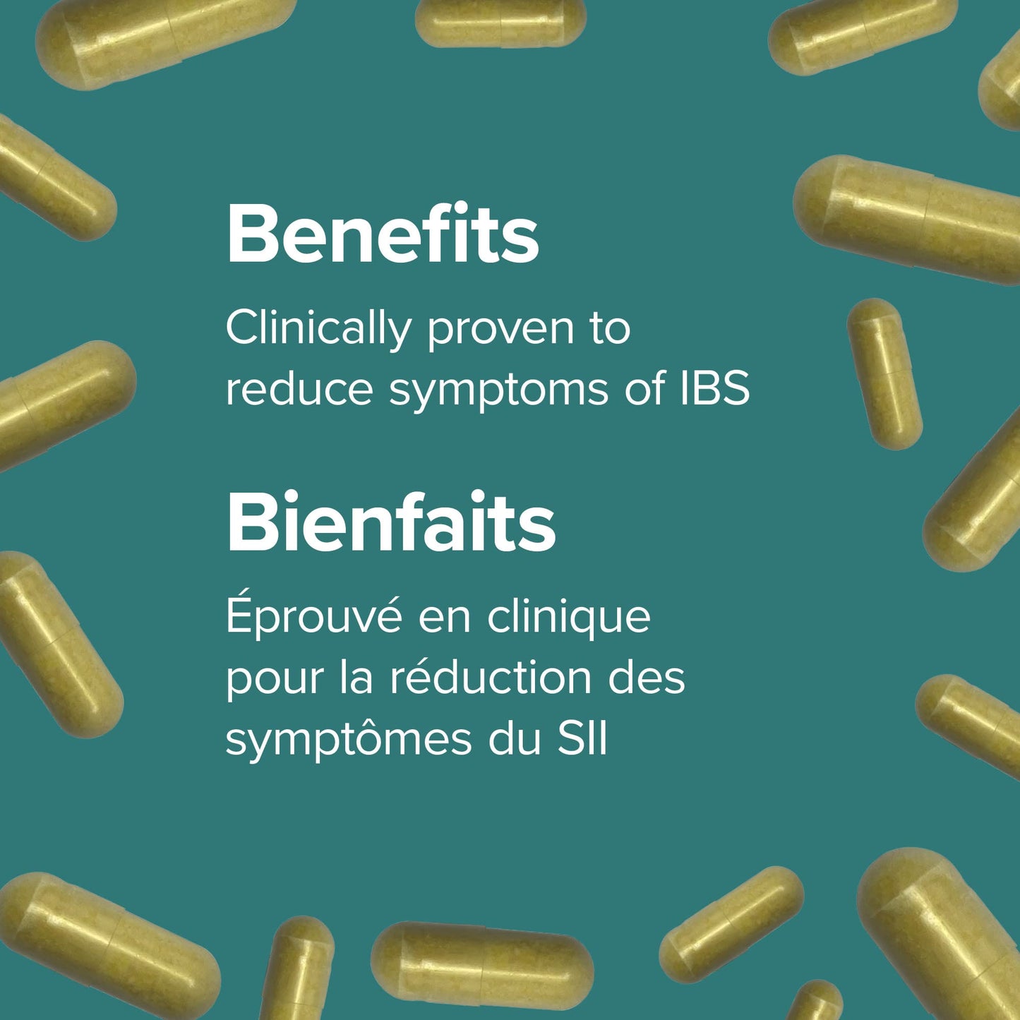 Webber Naturals Probiotic Max IBS Support, 30 Billion Active Cells, 5 Probiotic Strains, 45 Capsules, Helps Reduce Symptoms of Irritable Bowel Syndrome, Vegetarian - Available at All In One Marketplace Canada