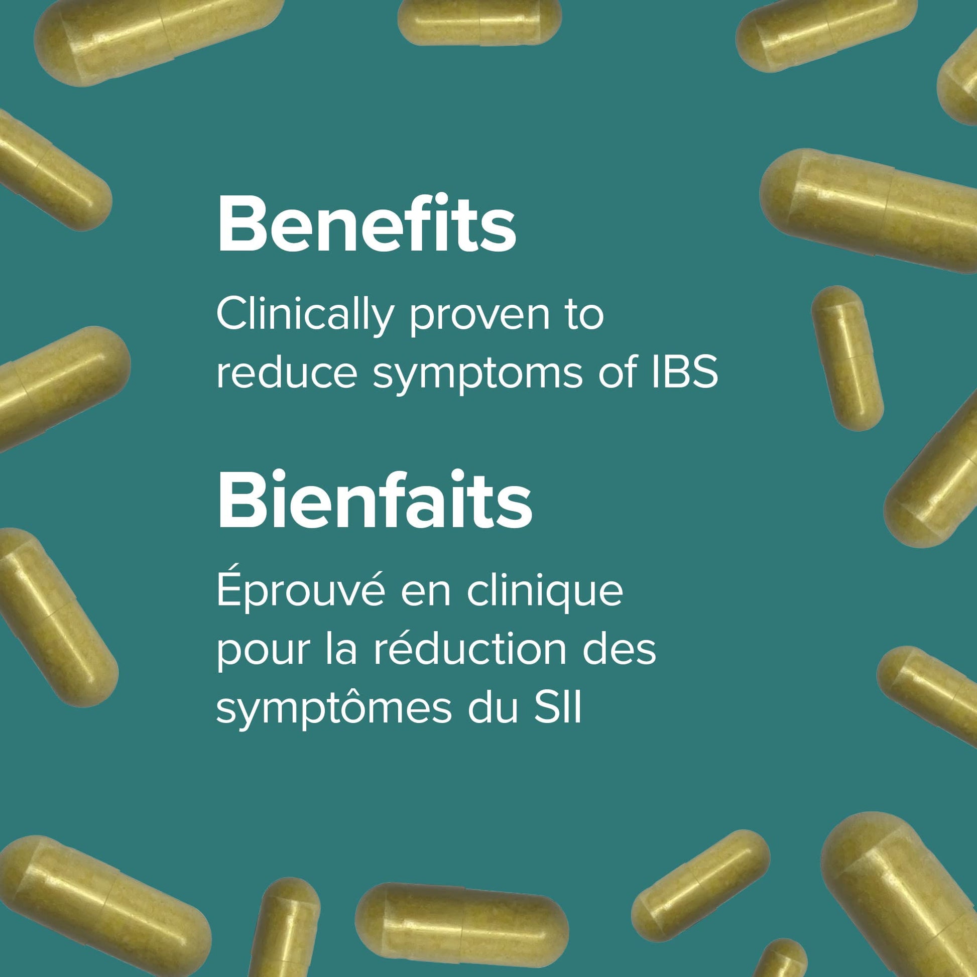 Webber Naturals Probiotic Max IBS Support, 30 Billion Active Cells, 5 Probiotic Strains, 45 Capsules, Helps Reduce Symptoms of Irritable Bowel Syndrome, Vegetarian - Available at All In One Marketplace Canada