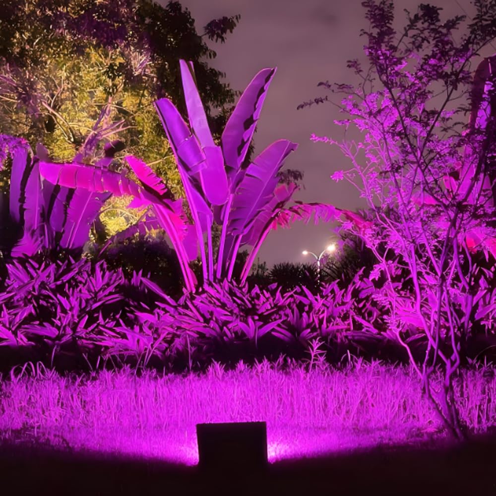 8 Pack 9W E26 Base 120V A19 Purple and Orange LED Light Bulb 🍁 All In One Marketplace Canada