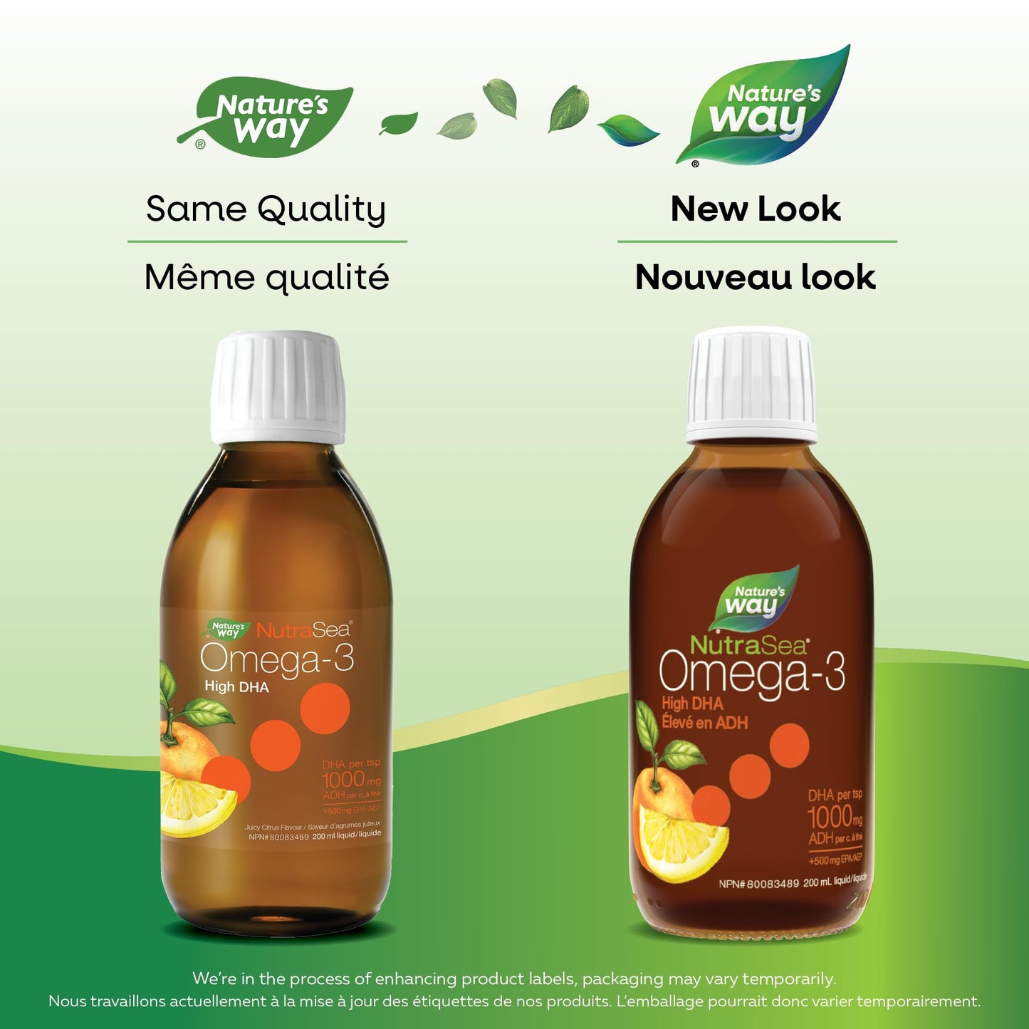 Nature's Way NutraSea High DHA Omega 3 Fish Oil Liquid Supplement for Adults and Kids Ages 14+ – Juicy Citrus Flavour, Non-GMO – Brain & Cognitive Support – 1500mg EPA & DHA, 200 mL Nature's Way