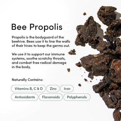BEEKEEPER'S NATURALS Propolis Throat Spray - 85mg Bee Propolis Extract - Natural Immune Support, Sore Throat Relief & Antioxodant Support - Antioxidants, Keto, Paleo, Gluten-Free (1.06 oz)
