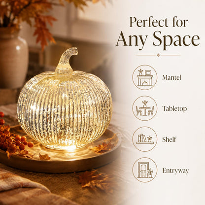 Hvfun 5.5 "(14cm) Mercury Glass Light up Pumpkin with Timer- Battery Operated Table Lamps for Festive Decoration-Thanksgiving Home Decoration Decorations (Silver) 🍁 All In One Marketplace Canada